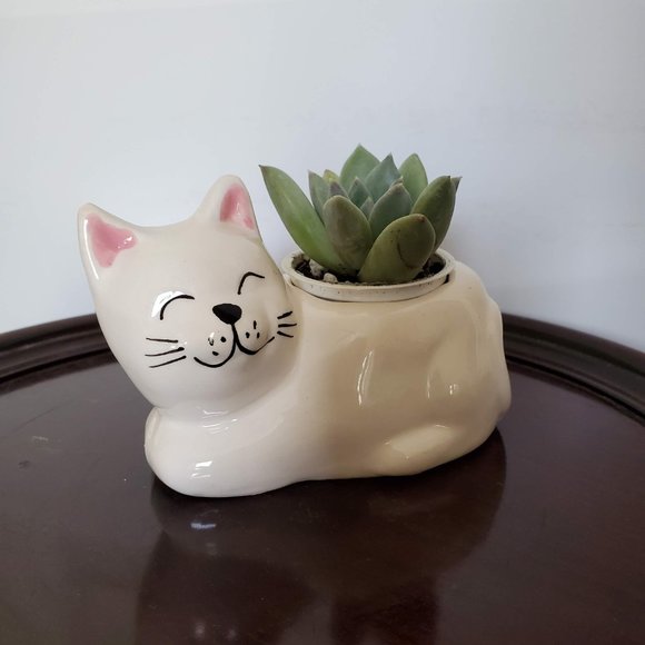 Cat Animal Planter with Succulent, live house plant in ceramic white Kitten Pot - Picture 4 of 5